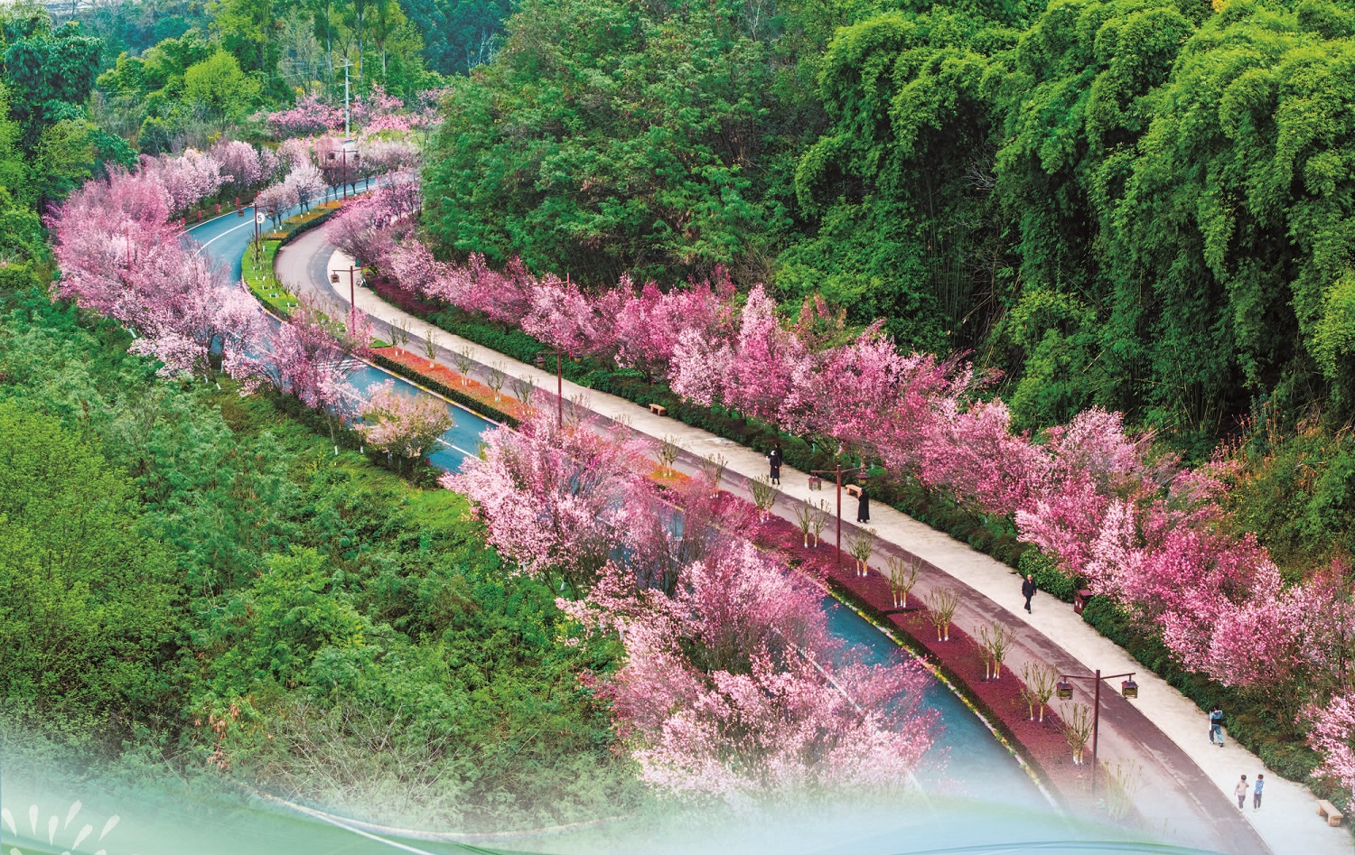 春游嘉州 踏青赏花(图1)