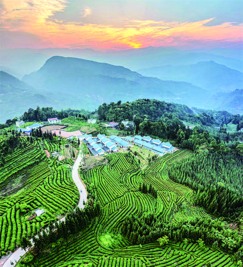 春游嘉州 踏青赏花(图6)