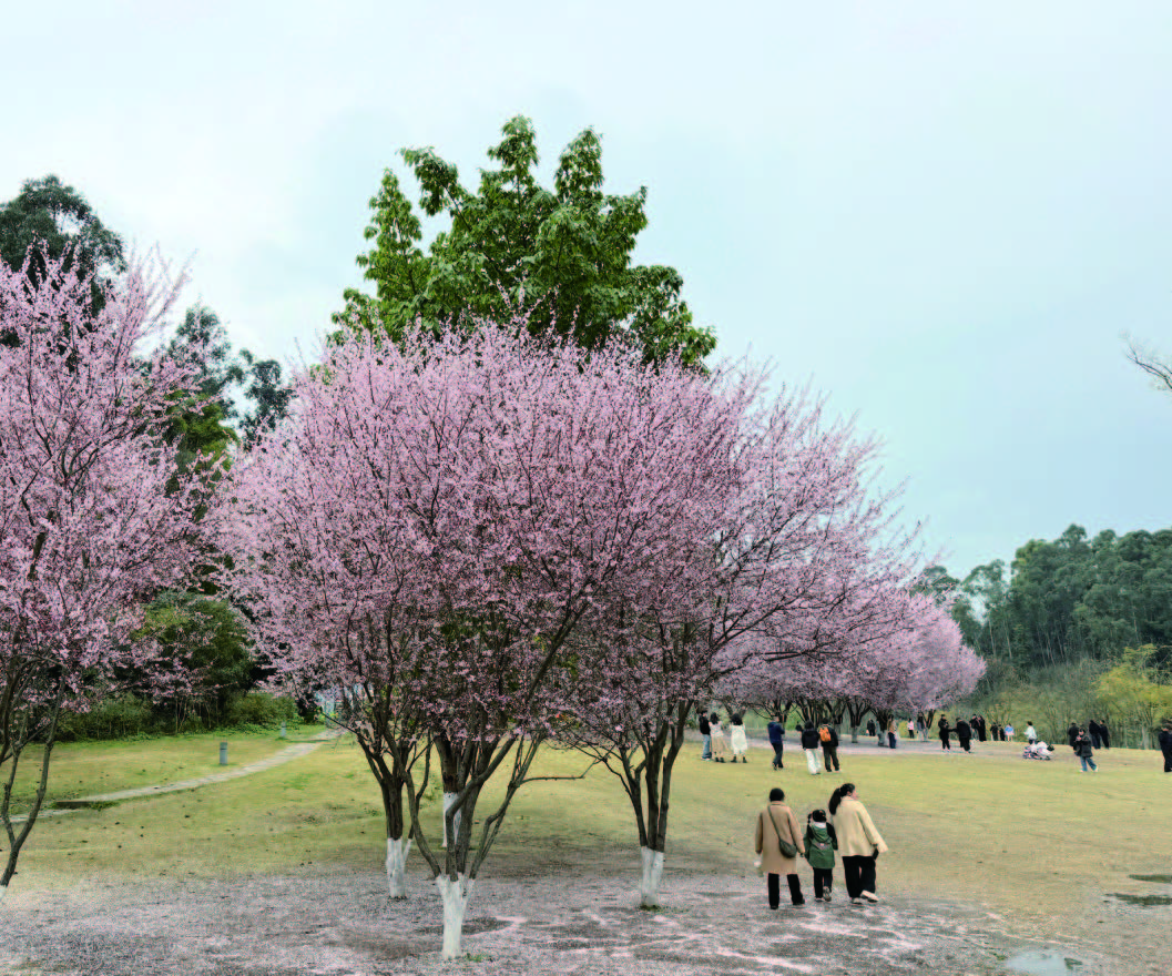 春游嘉州 踏青赏花(图3)