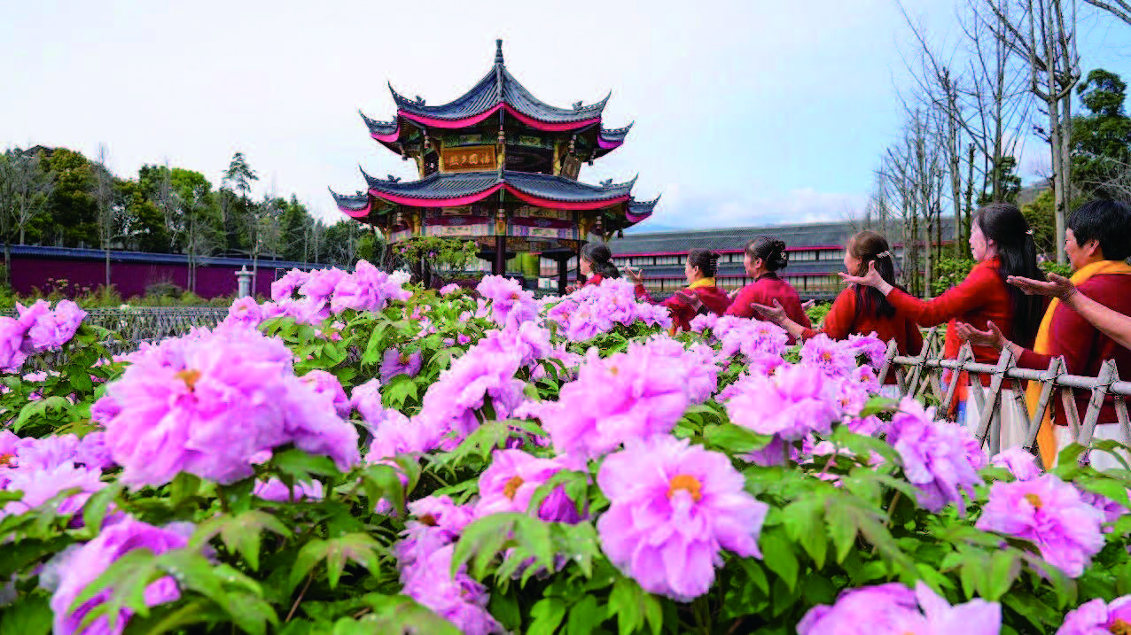 春游嘉州 踏青赏花(图8)