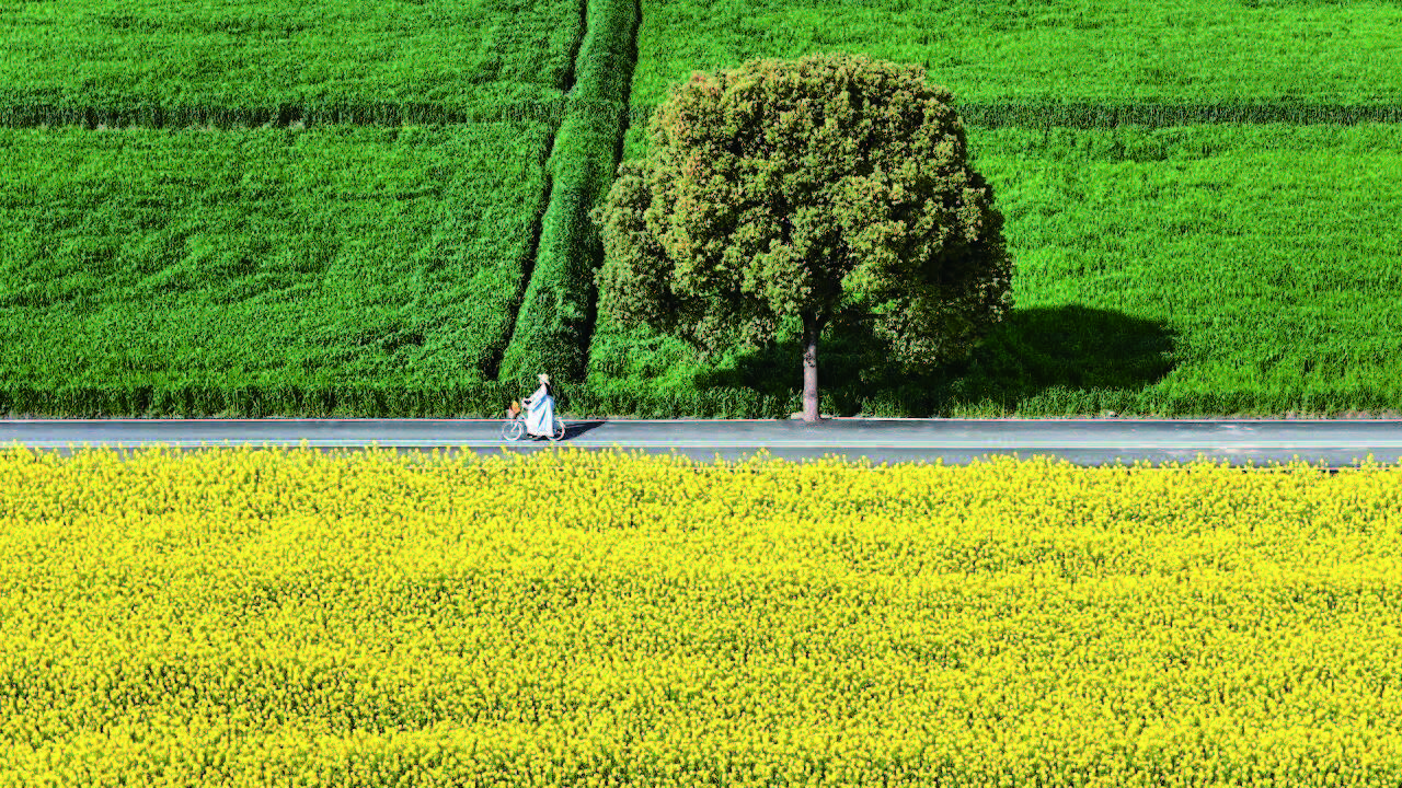 春游嘉州 踏青赏花(图9)