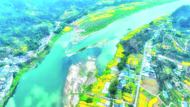 春游嘉州 踏青赏花(图10)