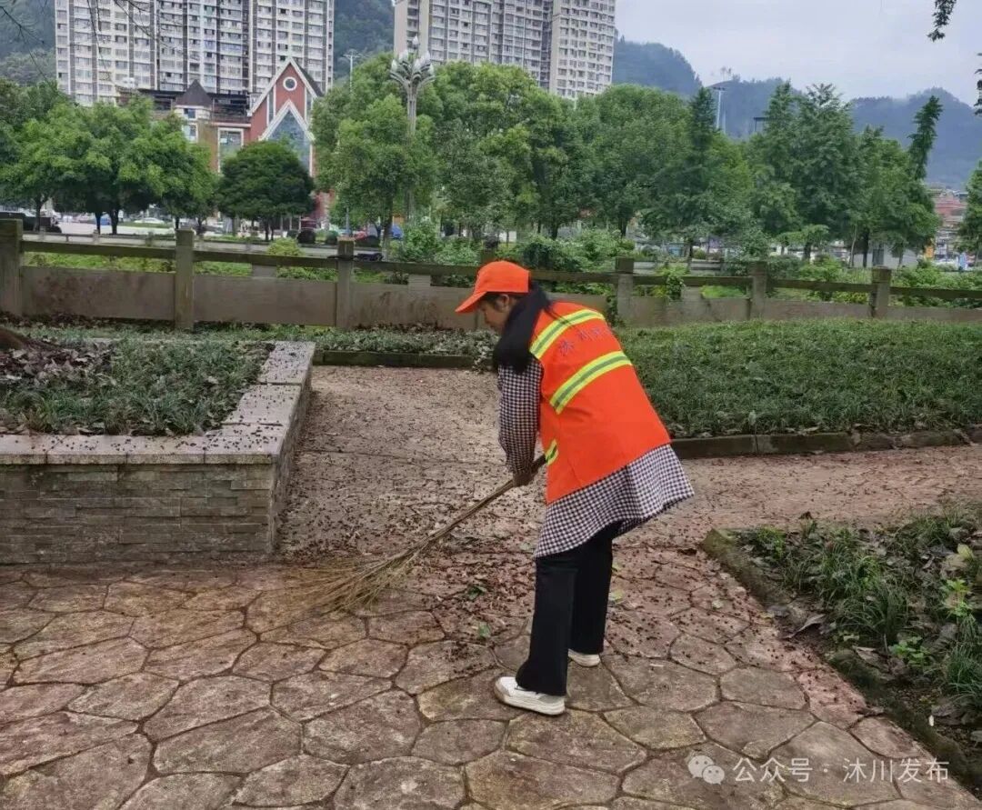 图片 图片