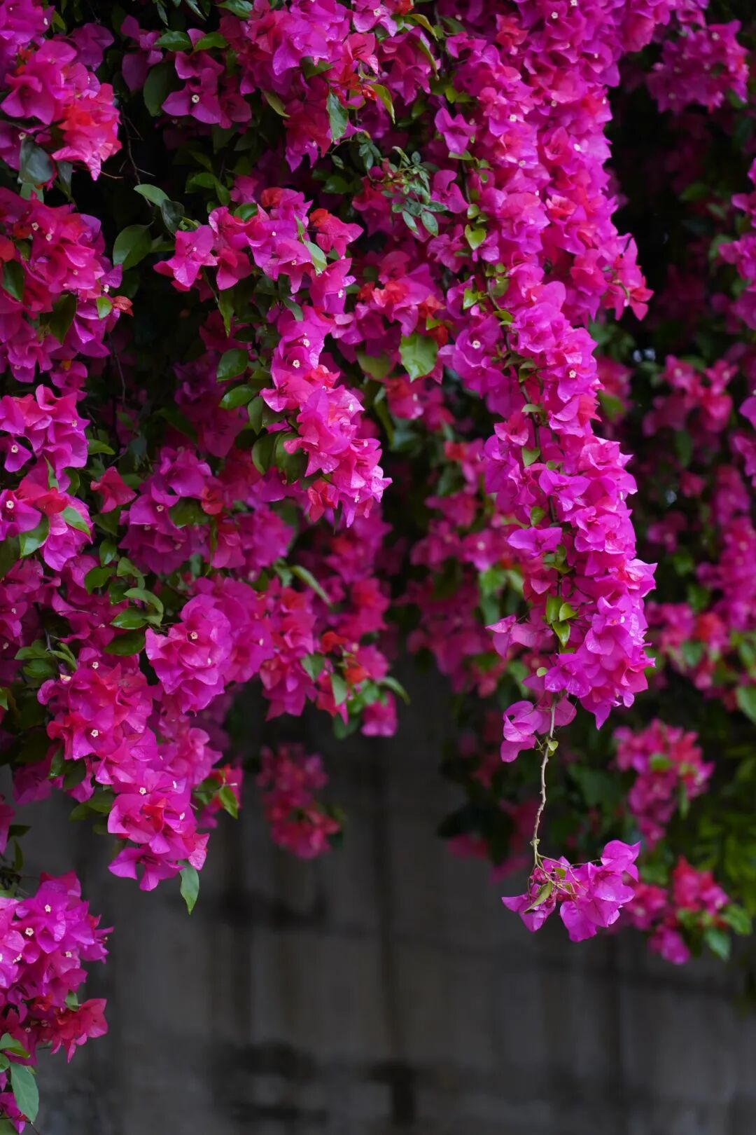 50ab449c1d7b78f8fba3c47f3bf6d530.jpg 50ab449c1d7b78f8fba3c47f3bf6d530.jpg