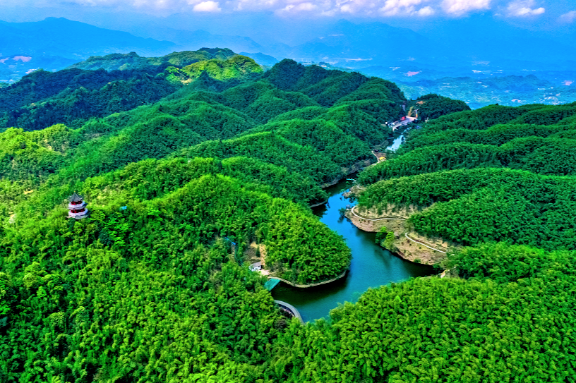 沐川竹海.png