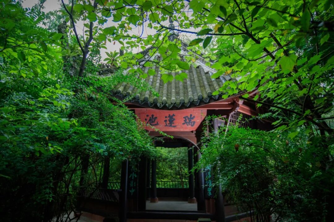 微信图片_20260602150542_695_221.jpg